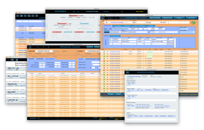 The Birth of the Modern Breedbook with the help of FileMaker